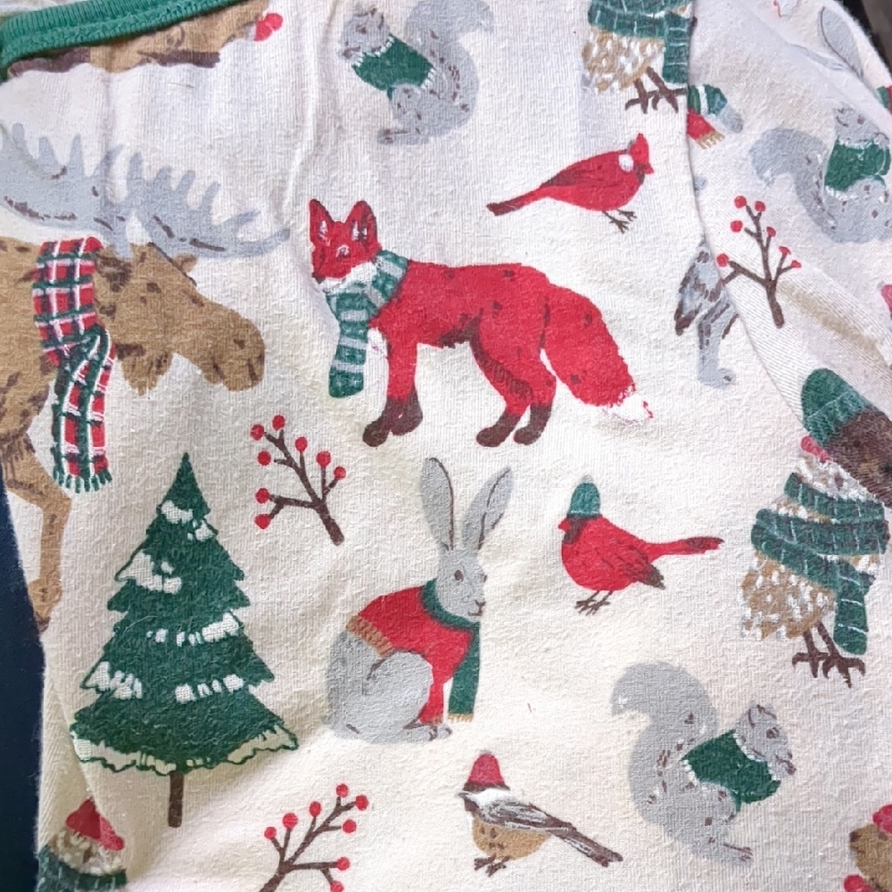 Little Blue House Festive Animal Print Pajama Set Medium